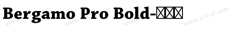 Bergamo Pro Bold字体转换